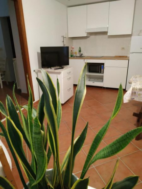 Gemini Appartamenti Grosseto